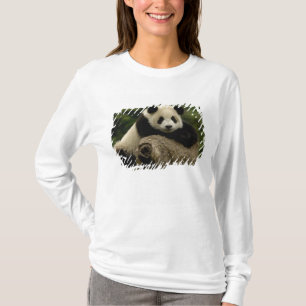 Camiseta bebê de panda-gigante Ailuropoda melanoleuca)