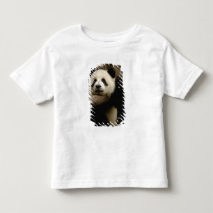 Camiseta bebê de panda gigante (Ailuropoda melanoleuca)