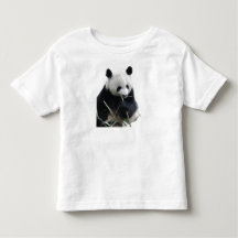 Bebê Panda Fofo