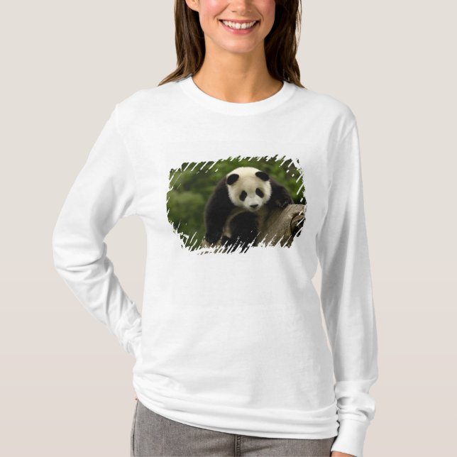 Camiseta Bebê panda gigante (Frente)