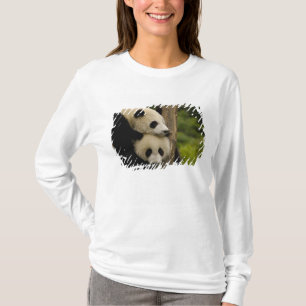 Camiseta bebês de panda gigante (Ailuropoda melanoleuca)