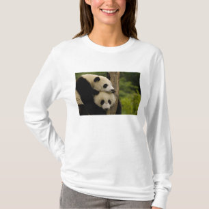 Camiseta bebês de panda gigante (Ailuropoda melanoleuca)