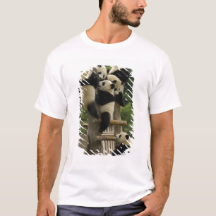 Camiseta bebês de panda gigante (Ailuropoda melanoleuca)