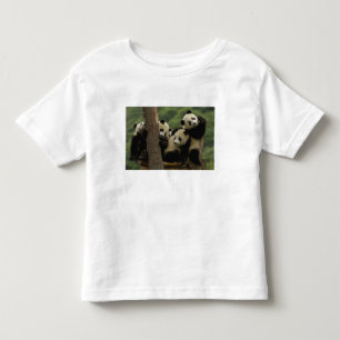 Camiseta bebês de panda gigante Ailuropoda melanoleuca)