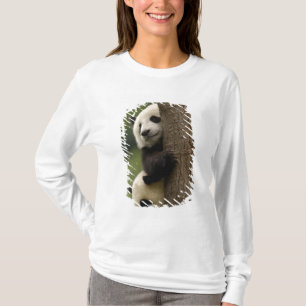 Camiseta bebês de panda gigante Ailuropoda melanoleuca)