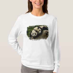 Camiseta bebês de panda gigante Ailuropoda melanoleuca)