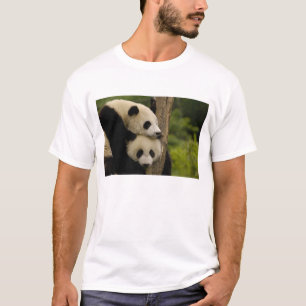 Camiseta bebês de panda gigante (Ailuropoda melanoleuca)