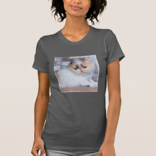 Camiseta Bebês Mais Pobres Calico Pérsico Kitten