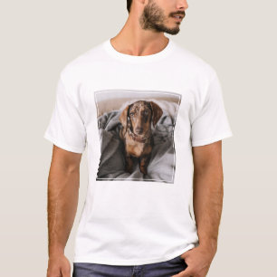 Camiseta Bebês Mais Pobres Dachshund De Chocolate