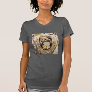 Camiseta Bebês Mais Pobres Esquilos-bebê curiosos