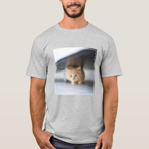 Camiseta Bebês Mais Pobres   Fluffy Orange Kitten