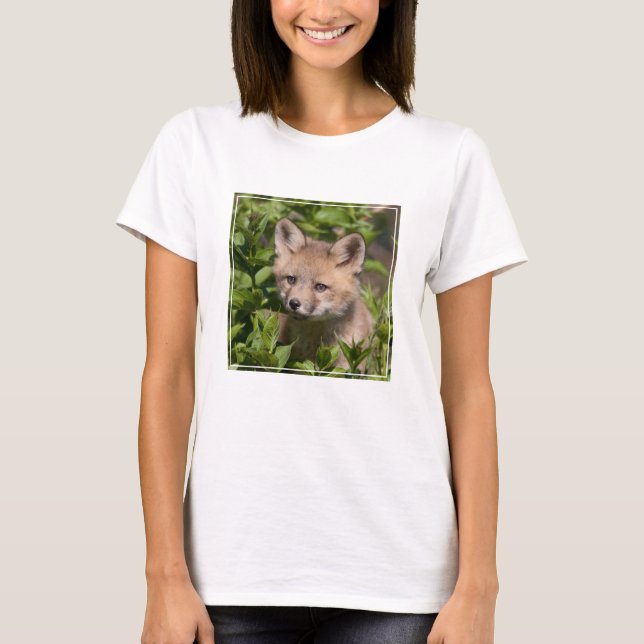 Camiseta Bebês Mais Pobres | Kit Fox (Frente)
