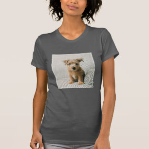 Camiseta Bebês Mais Pobres   Norfolk Terrier Puppy