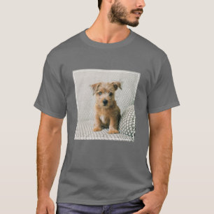 Camiseta Bebês Mais Pobres   Norfolk Terrier Puppy