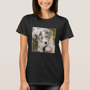 Camiseta Bebês Mais Pobres   Pastor australiano
