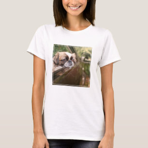 Camiseta Bebês Mais Pobres   Pekingese Puppy no carro
