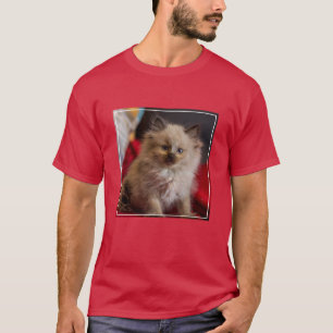Camiseta Bebês Mais Pobres   Siamese Kitten
