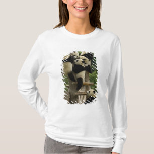 Camiseta Bebês panda gigantes Ailuropoda melanoleuca)