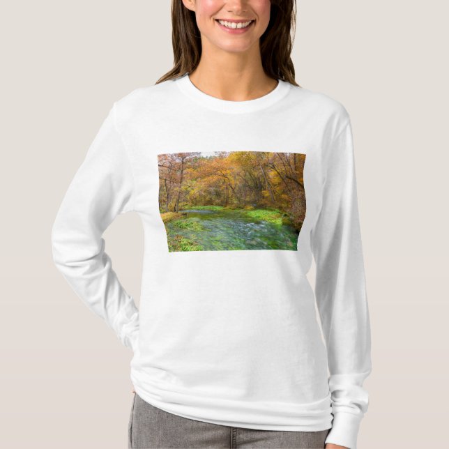 Camiseta Beco de água de outono (Frente)