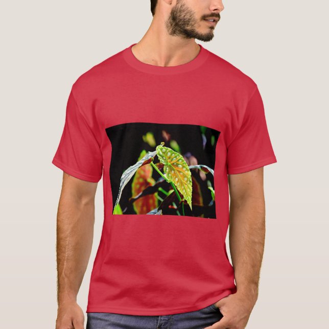 Camiseta Begônia Angel Wing Botânica (Frente)