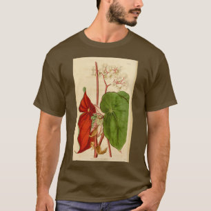 Camiseta Begonia sanguinea