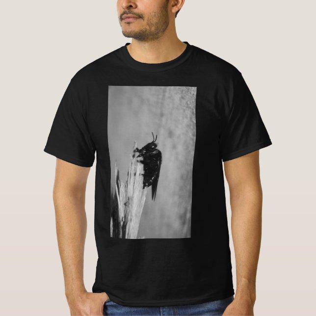 Camiseta Beija-flor (Frente)