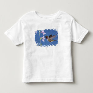 Camiseta Beija-flor-de-cauda-larga, Selasphorus