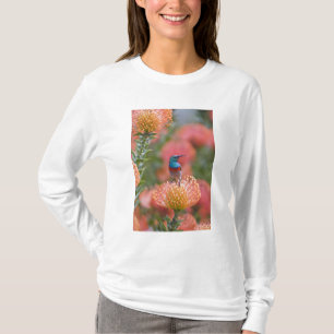 Camiseta Beija-flor-de-colar-duplo