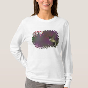 Camiseta Beija-flor-de-garganta-rubí-macho