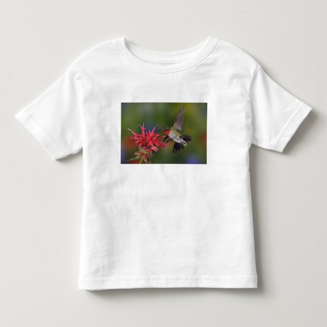 Camiseta Beija-flor-de-garganta-rubra macho (Frente)