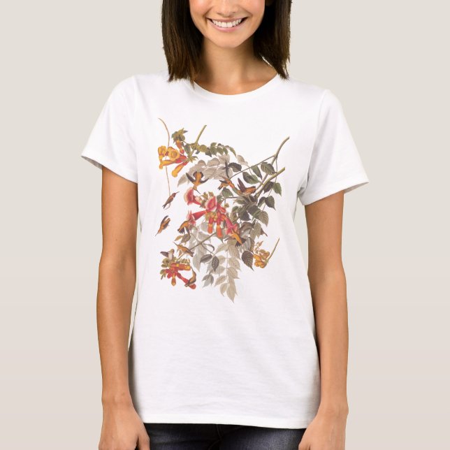 Camiseta Beija-flor-roçado-de-rubi e flores de Audubon (Frente)