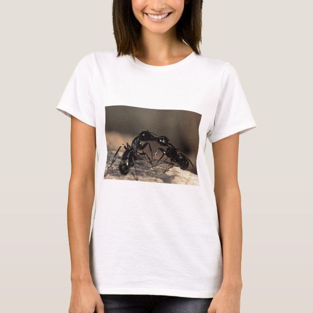 Camiseta beijo de formigas (Frente)