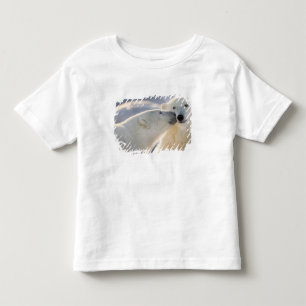 Camiseta Beijo de Urso Polar