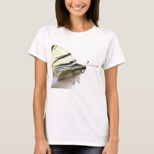 Camiseta Bela borboleta