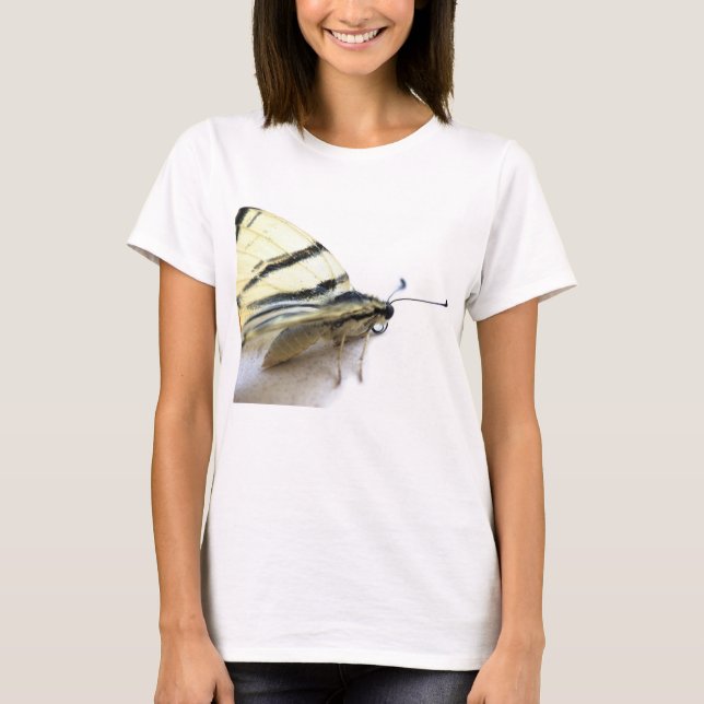 Camiseta Bela borboleta (Frente)
