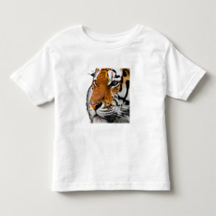 Camiseta Bela Foto do Rosto de Tigre de Bengala