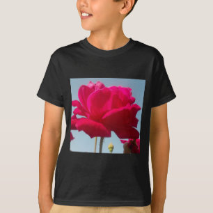 Camiseta Bela Rosa Celestial Encantadora Vermelha Contra o 