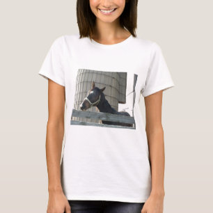 Camiseta Beleza do Stallion Negro