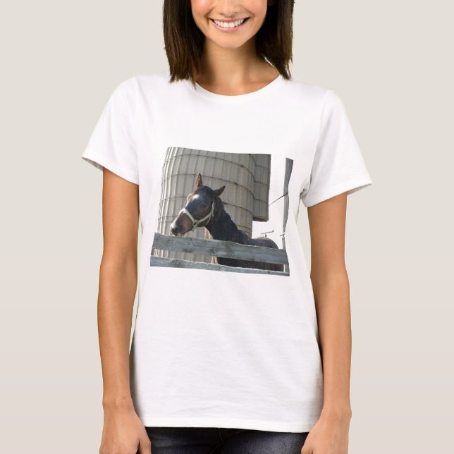 Camiseta Beleza do Stallion Negro (Frente)