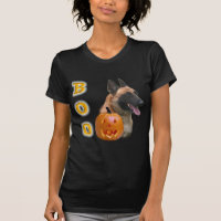 Belga Malinois Boo