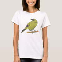 Bellbird Korimako NZ