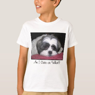 Camiseta Belle o cão de Shih Tzu