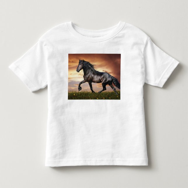 Camiseta Belo Cavalo Negro (Frente)
