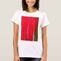 Belo Design de Abstrato de de Textura Vermelha