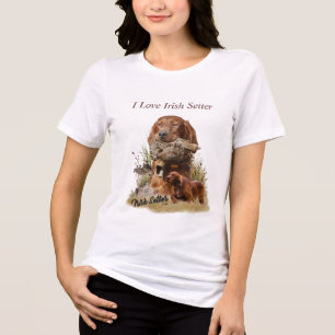 Camiseta Belo Red Setter Irlandês