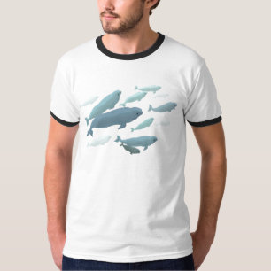 Camiseta Beluga Whale Ringer Branca - Camisas de A