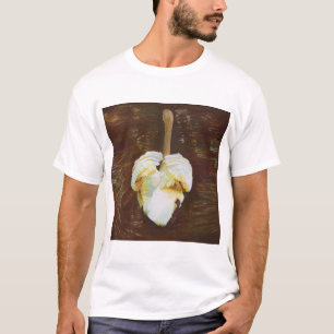 Camiseta Benevolência 2014