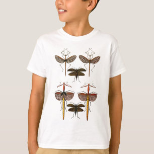 Camiseta Bengalas, Katydids e libélulas