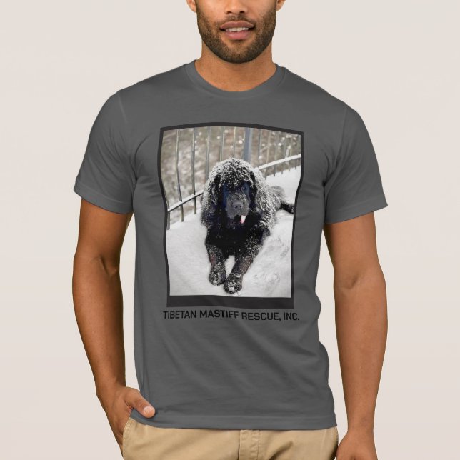 Camiseta Bentley Grey (Frente)