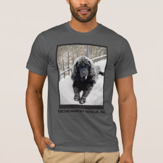 Camiseta Bentley Grey T shirt